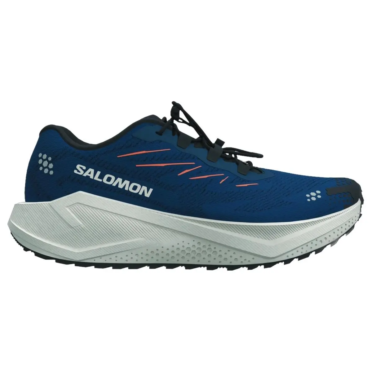 Salomon shoes - Aero Blaze 4 Grvl - Aero Blaze Grvl - L45400300 - Gibraltar/Silver 6