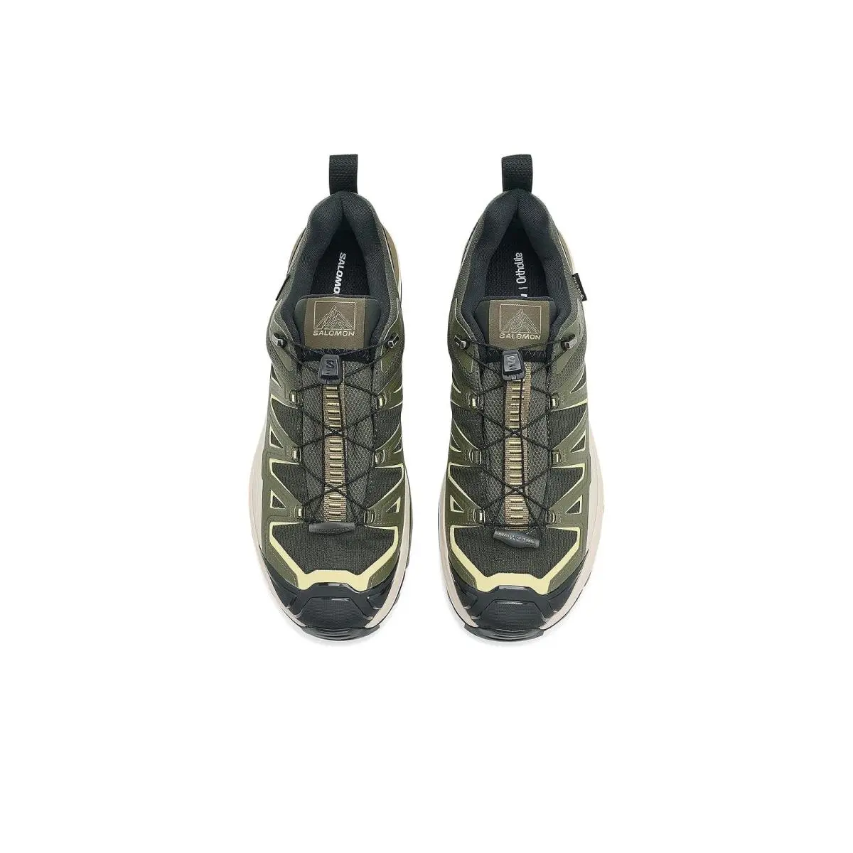 Salomon shoes - Peat/Olive Night/Endive 0