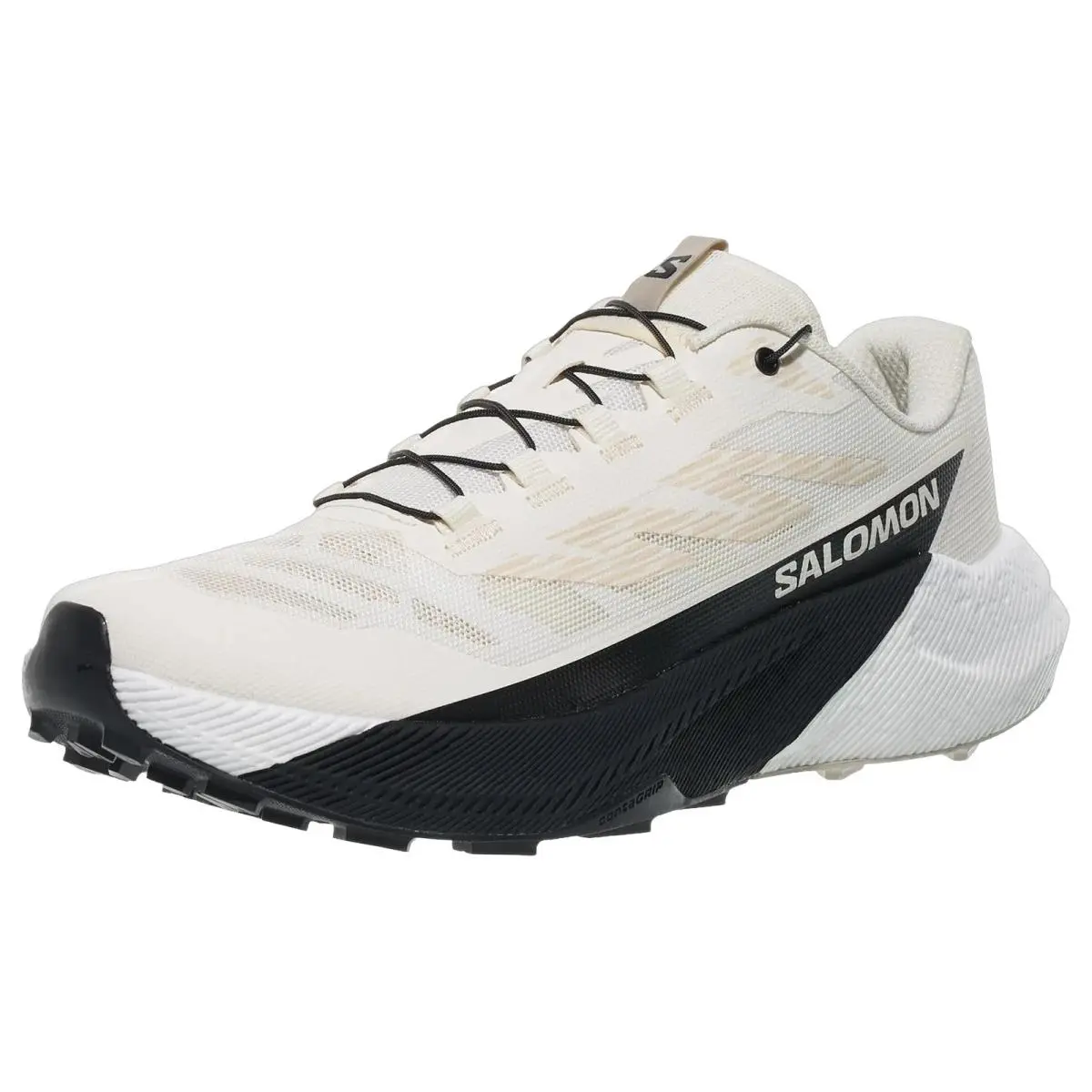 Salomon shoes - Pulsar - Pulsar - L47999900 - VanIce/Black/Silver Cloud 6