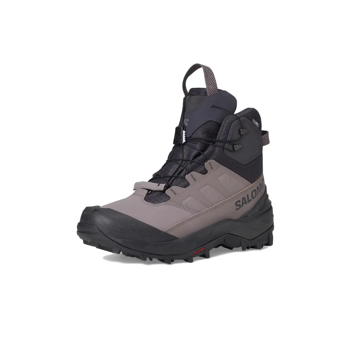Salomon shoes - Nine Iron/Shark/Phantom 12
