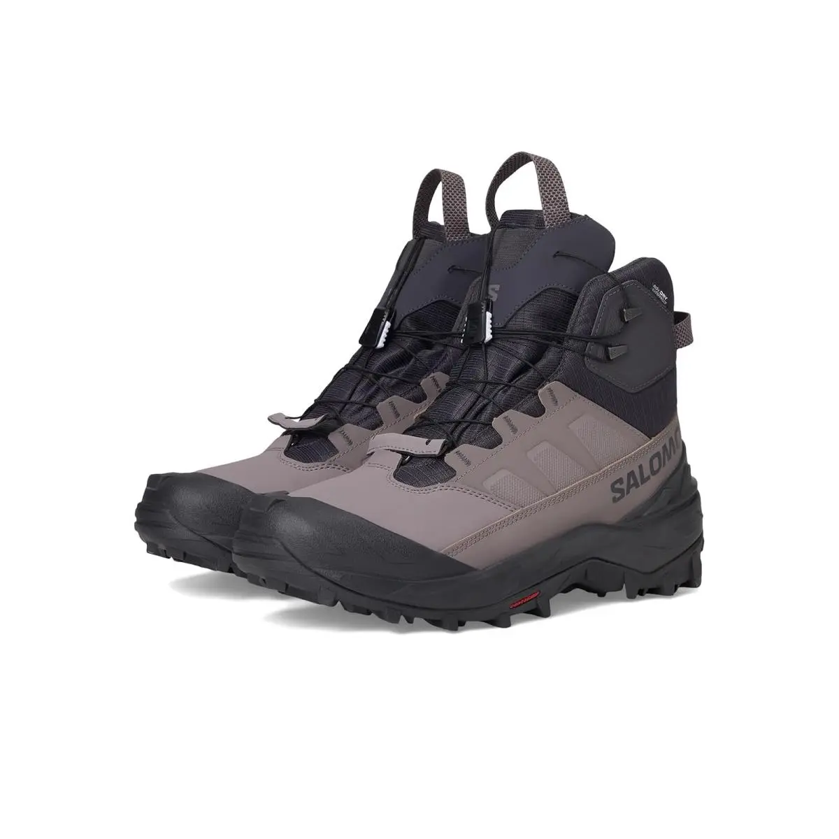 Salomon shoes - Nine Iron/Shark/Phantom 6