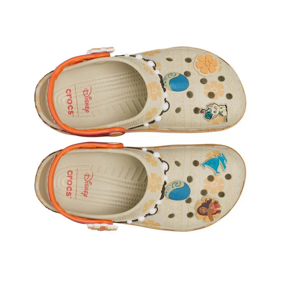 Crocs shoes - Multicolor