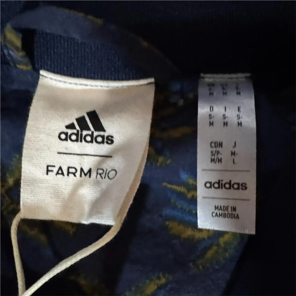 Adidas clothing - Blue 5