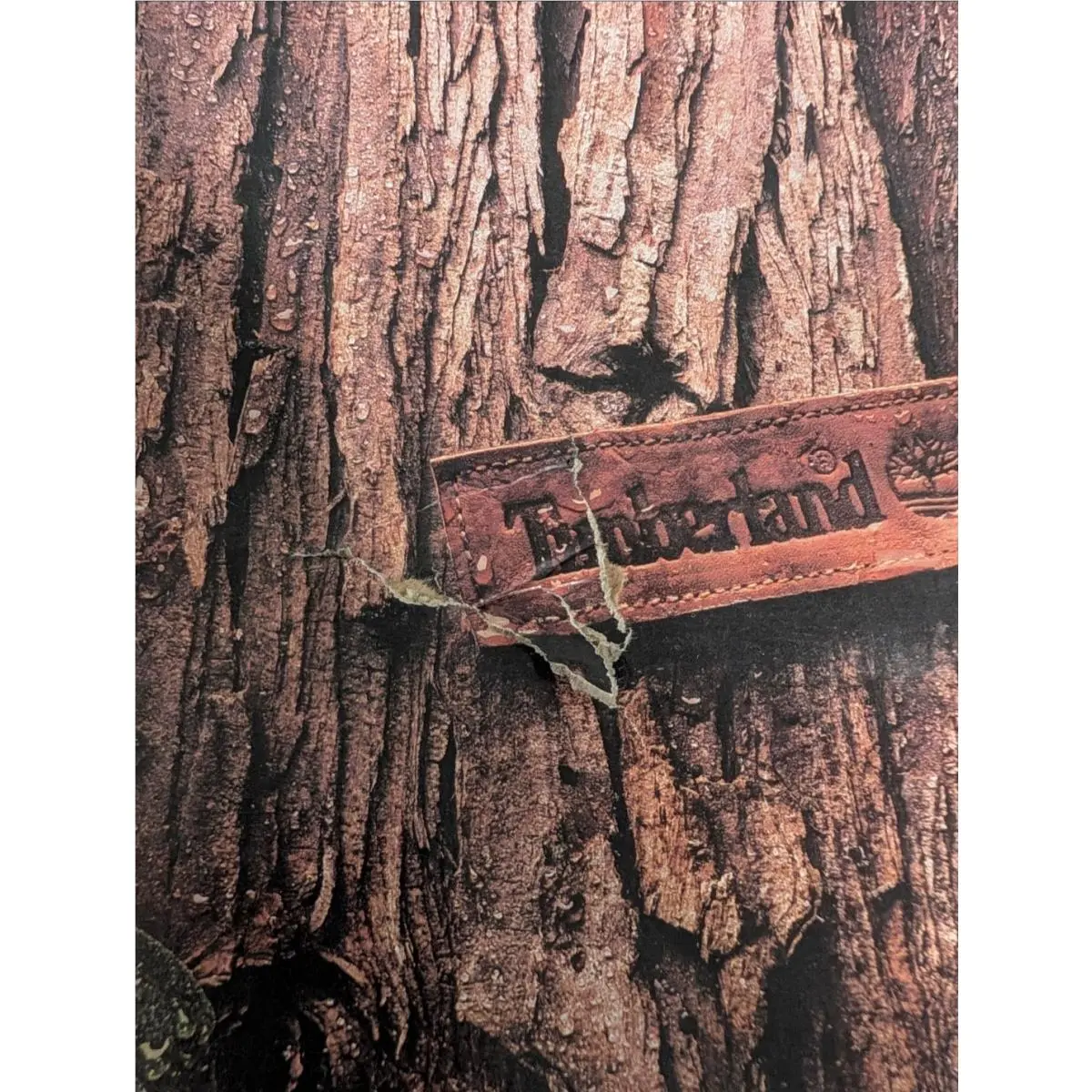 Timberland shoes - Brown 4