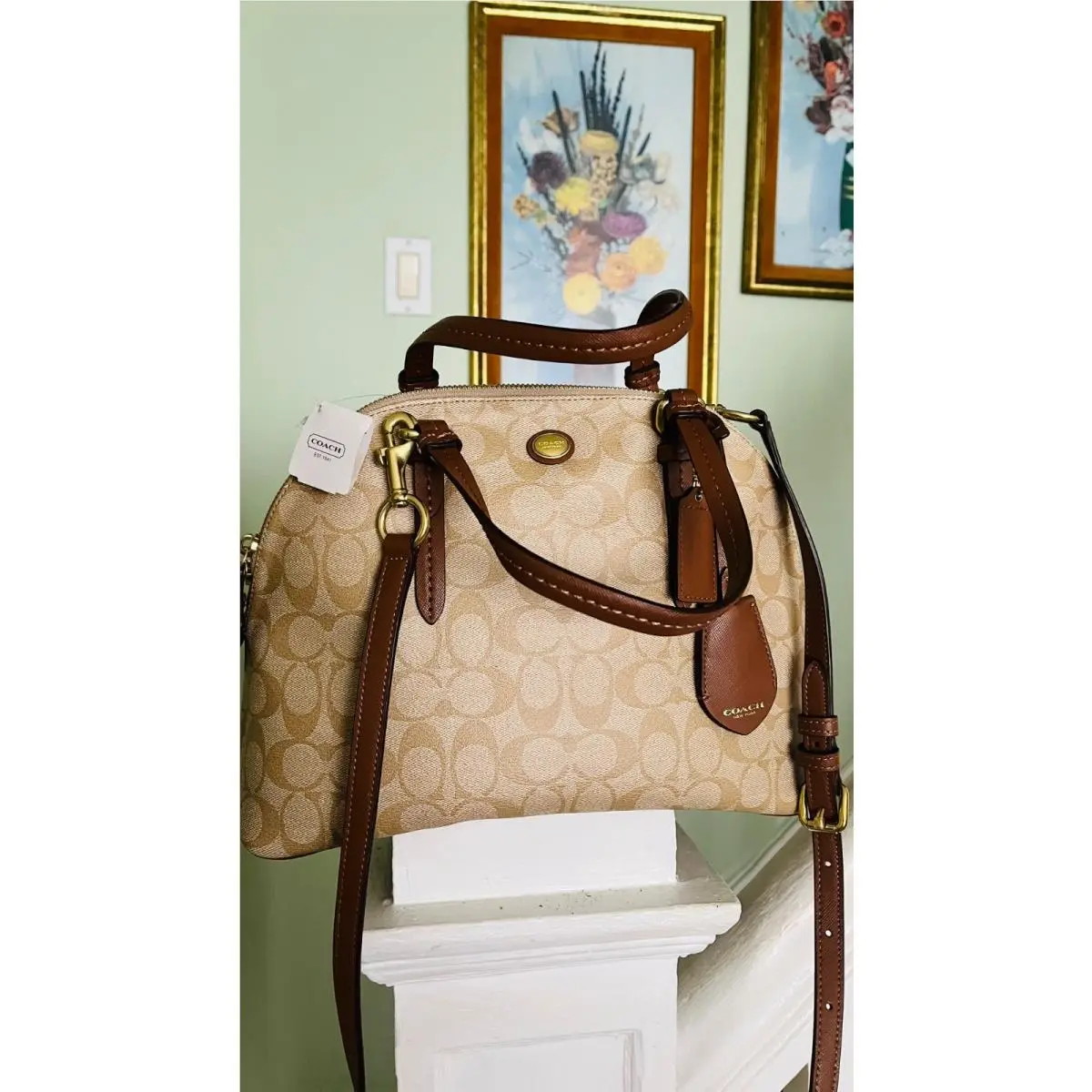 Peyton Signature Cora Domed Satchel / Crossbody Bag F24606 by Coach