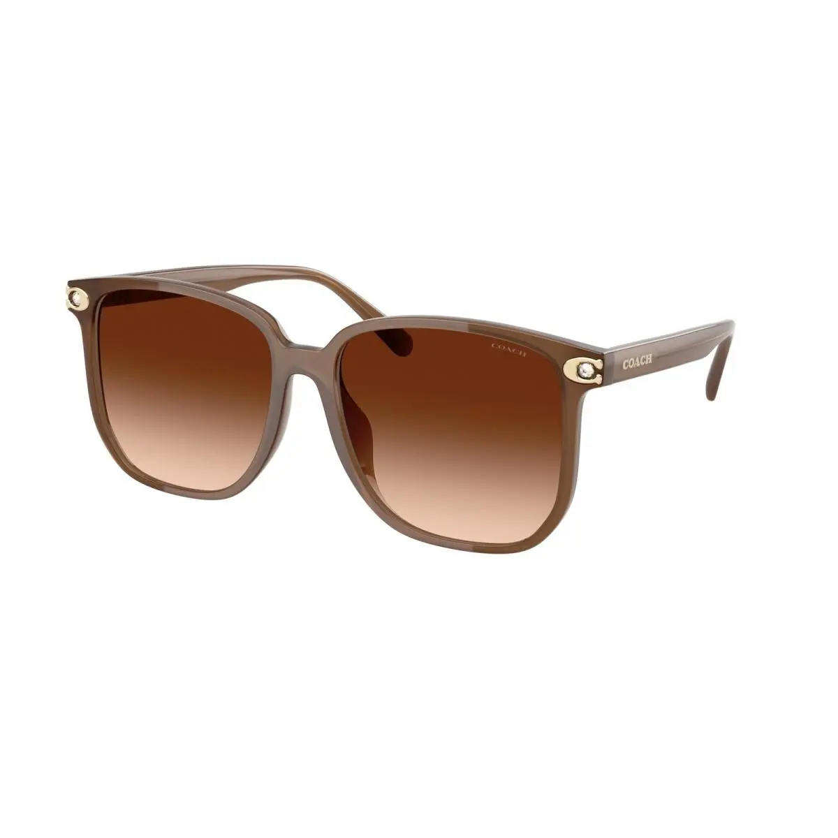 HC8413BD 580874 Cw419 Milky Brown Brown Gradient 58 mm Women`s Sunglasses by Coach