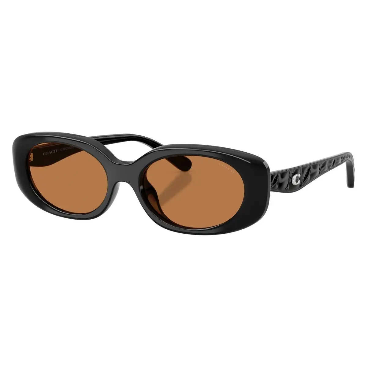 Women`s 54mm Black Sunglasses HC8443D-500273-54 by Coach