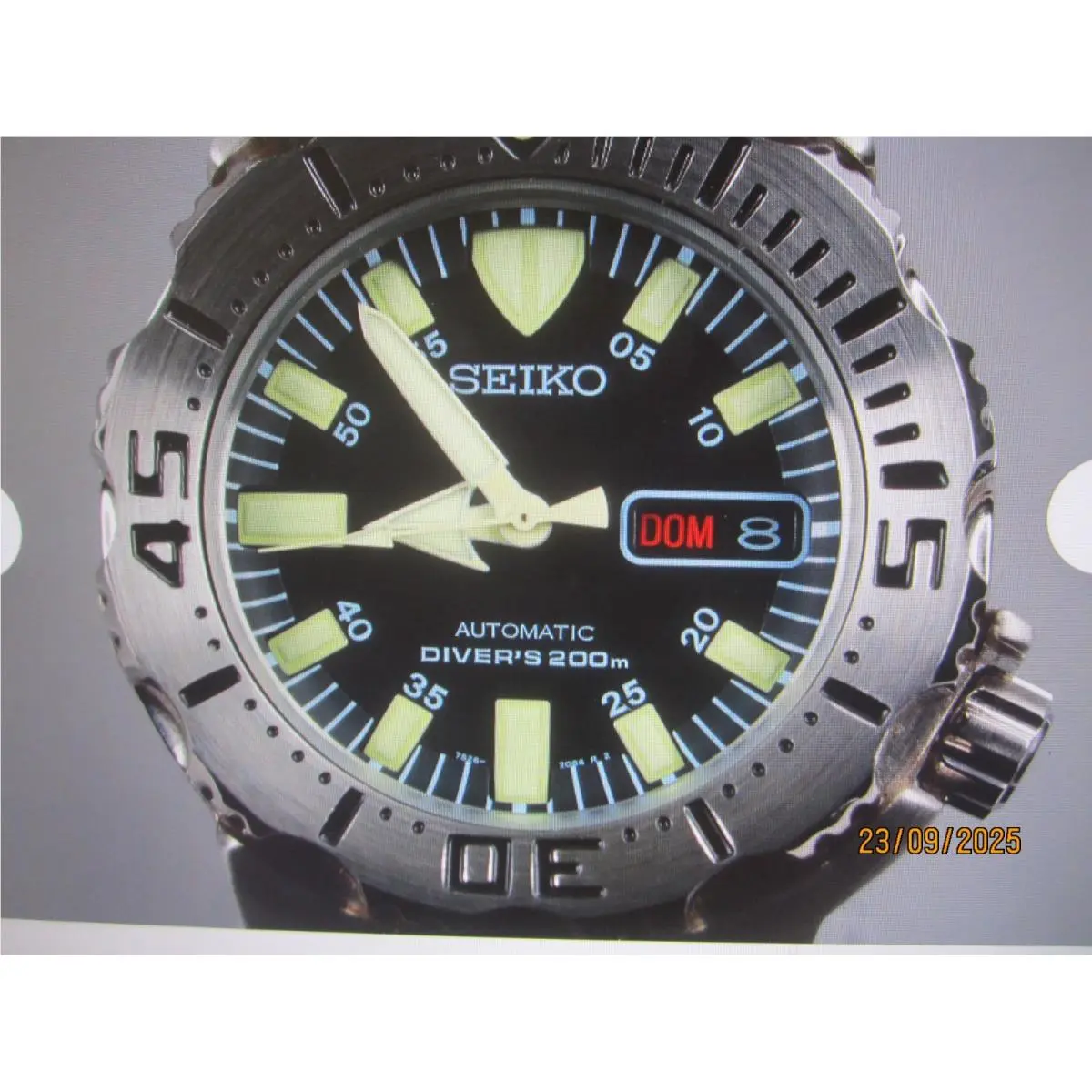 Men`s Watch Divers 200 All S/s Rubber Japan Skx 779 by Seiko
