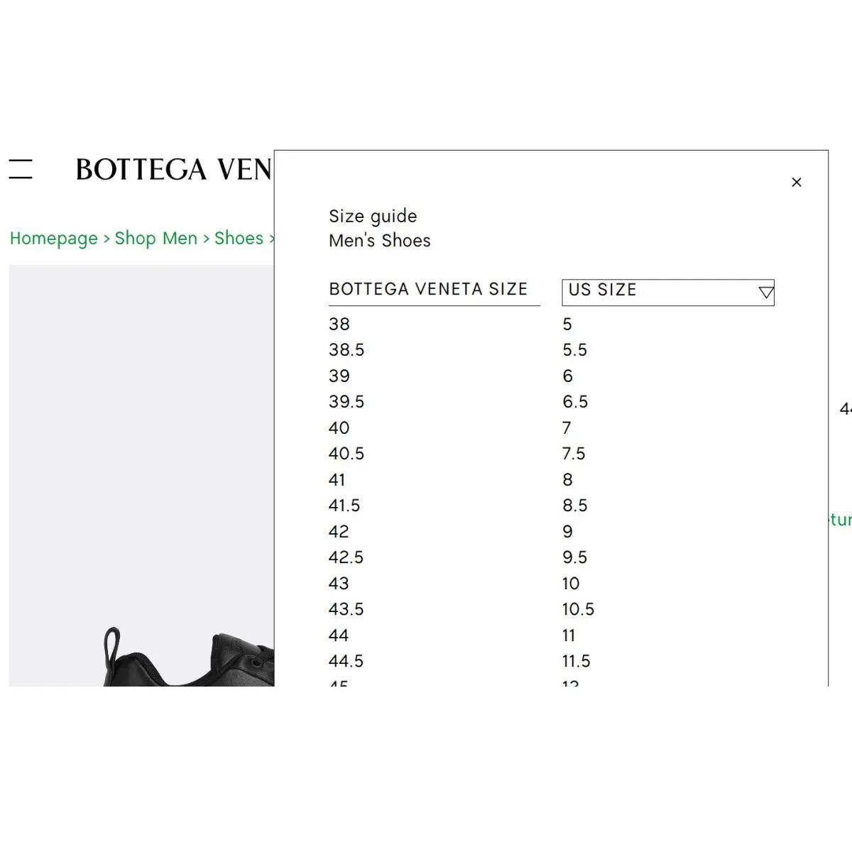 Bottega Veneta shoes - Black 10