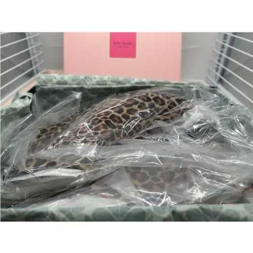 Kate Spade shoes - Kate Spade NY Sydney - Sydney - K9545 - Leopard Print 7