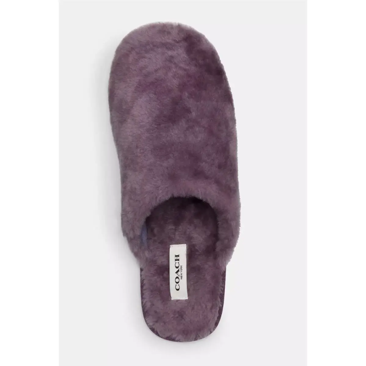 Coach shoes - Purple 5