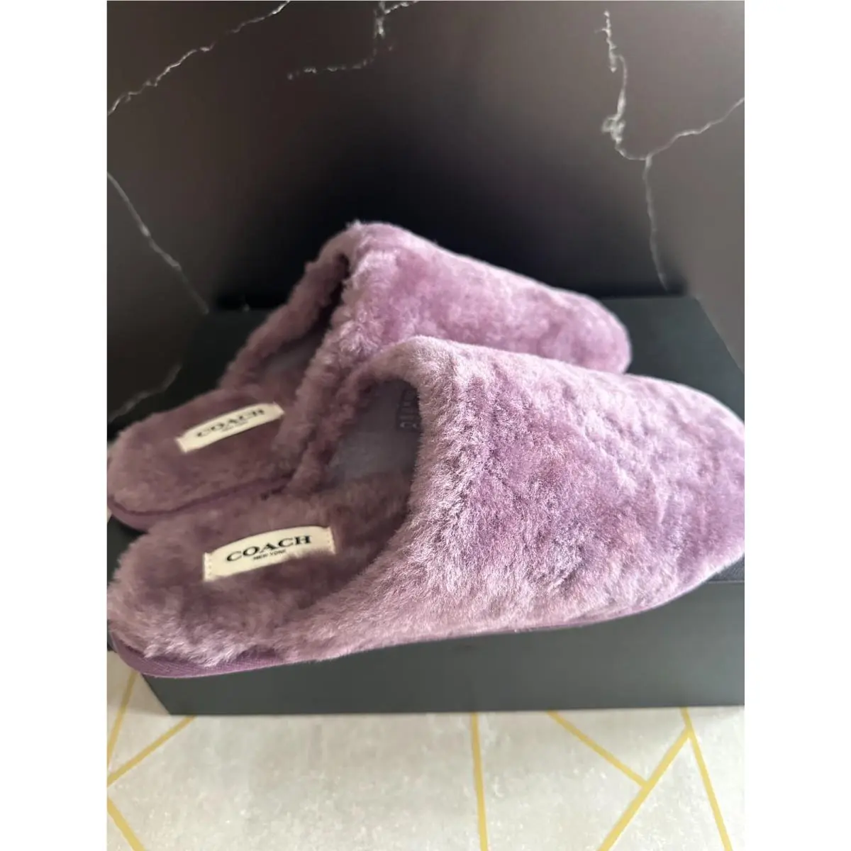 Coach shoes - Purple 10