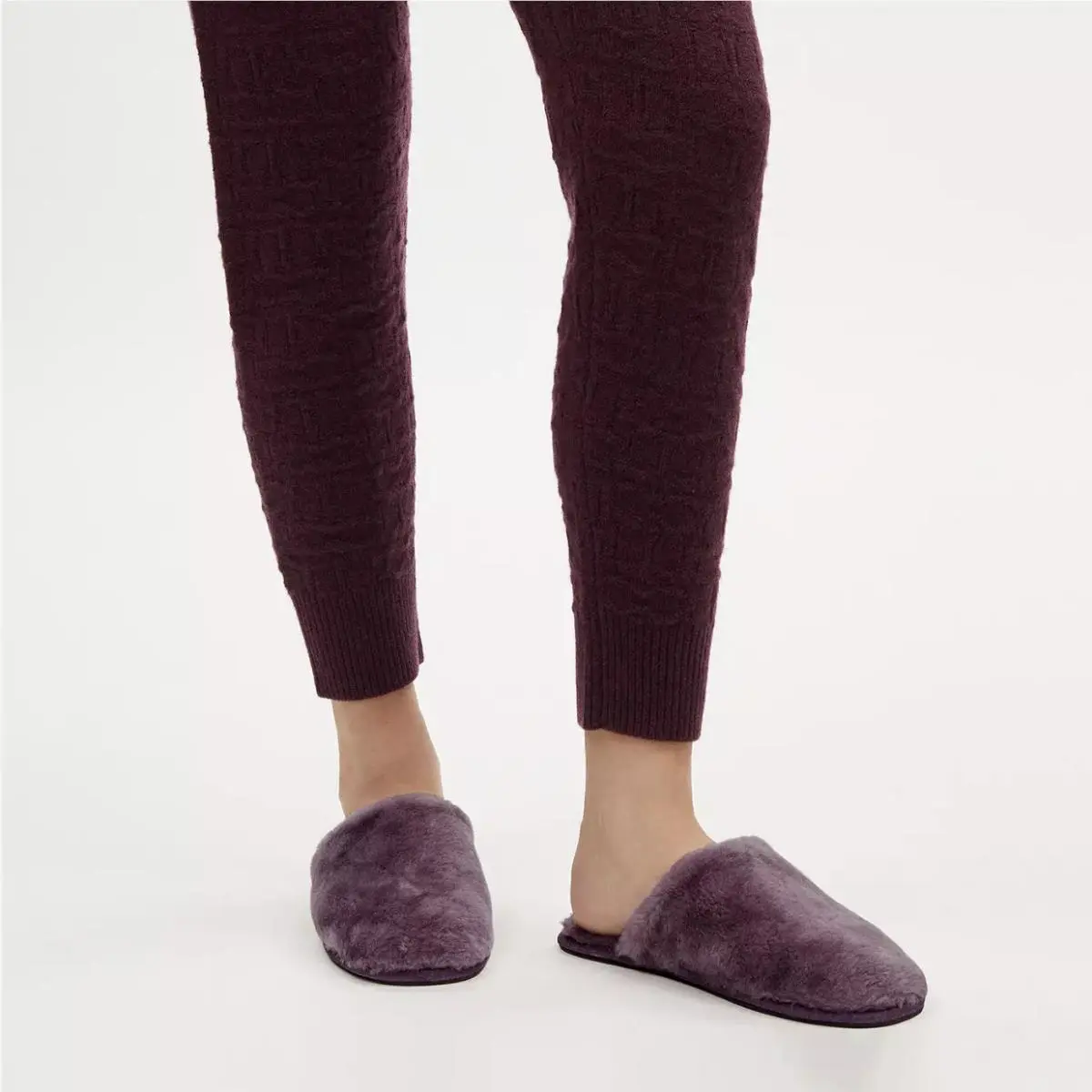 Coach shoes - Purple 14