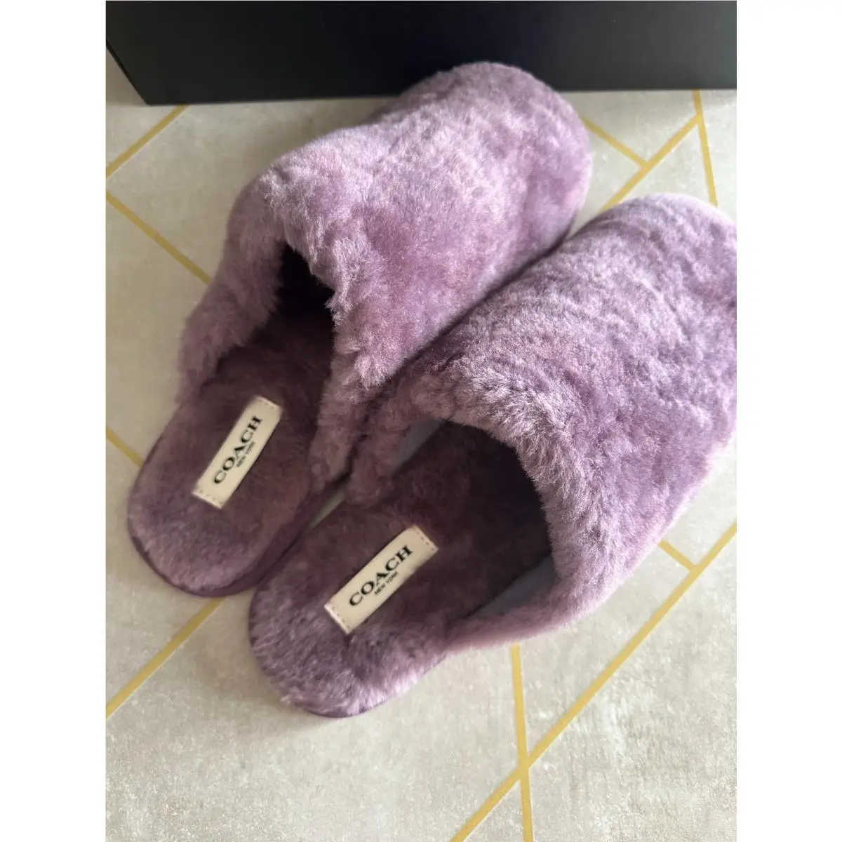 Coach shoes - Purple 11