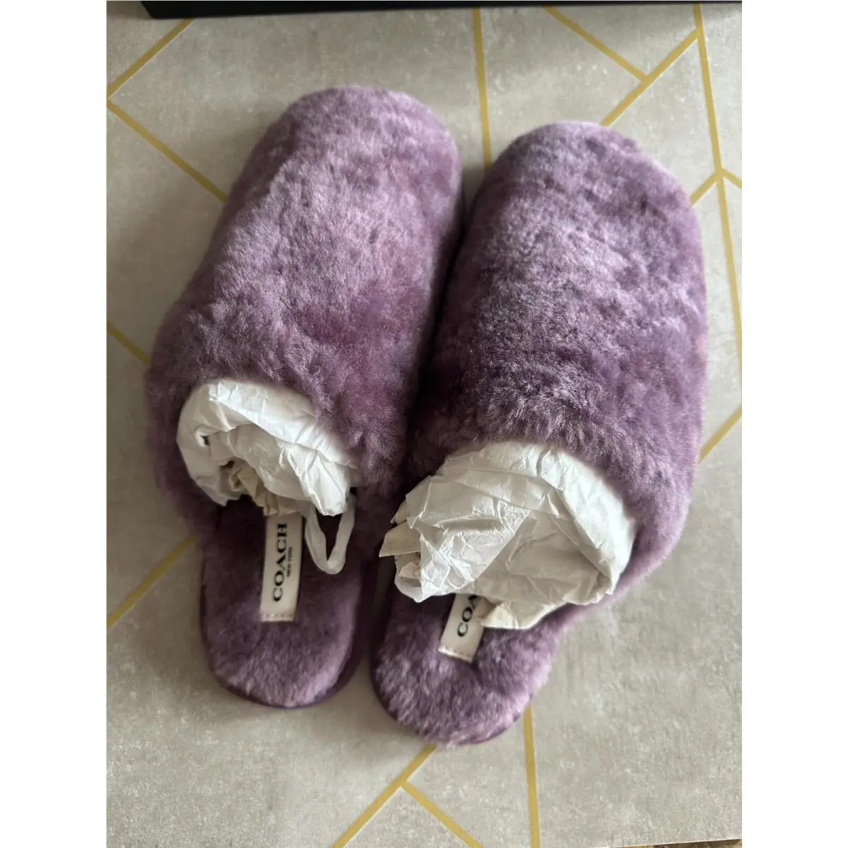 Coach shoes - Purple 12