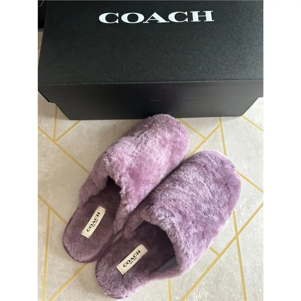 Coach shoes - Purple 1