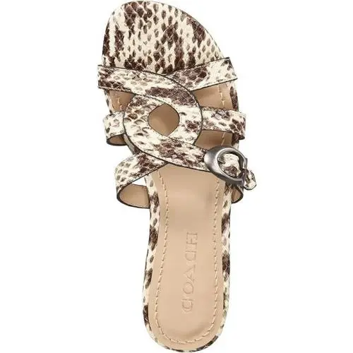 Coach shoes - Natural, S: Tan Snake 6