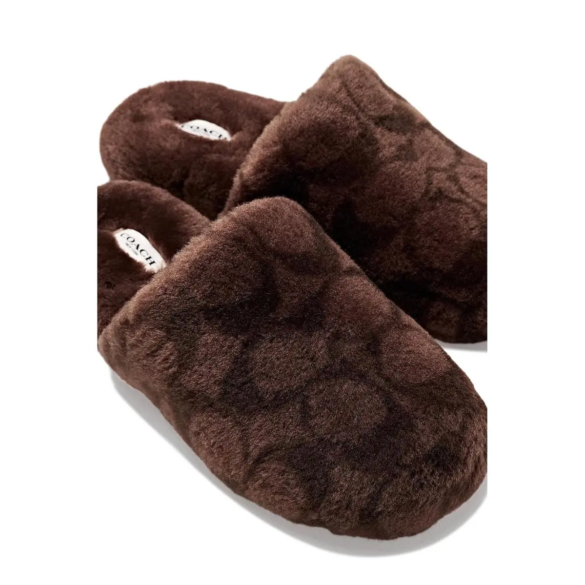 Coach shoes - Chocolate 4