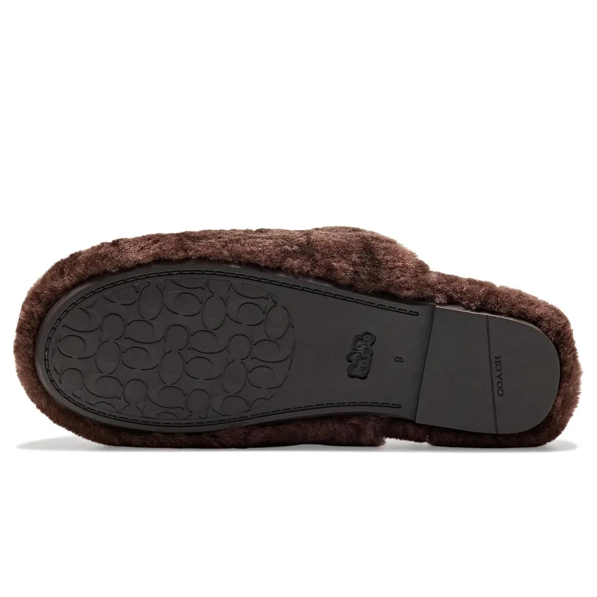 Coach shoes - Chocolate 10