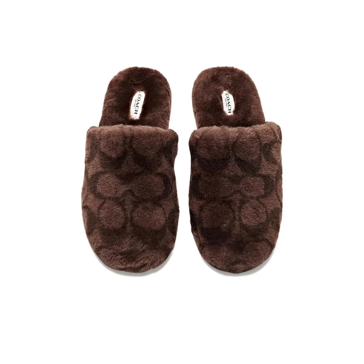 Coach shoes - Chocolate 7