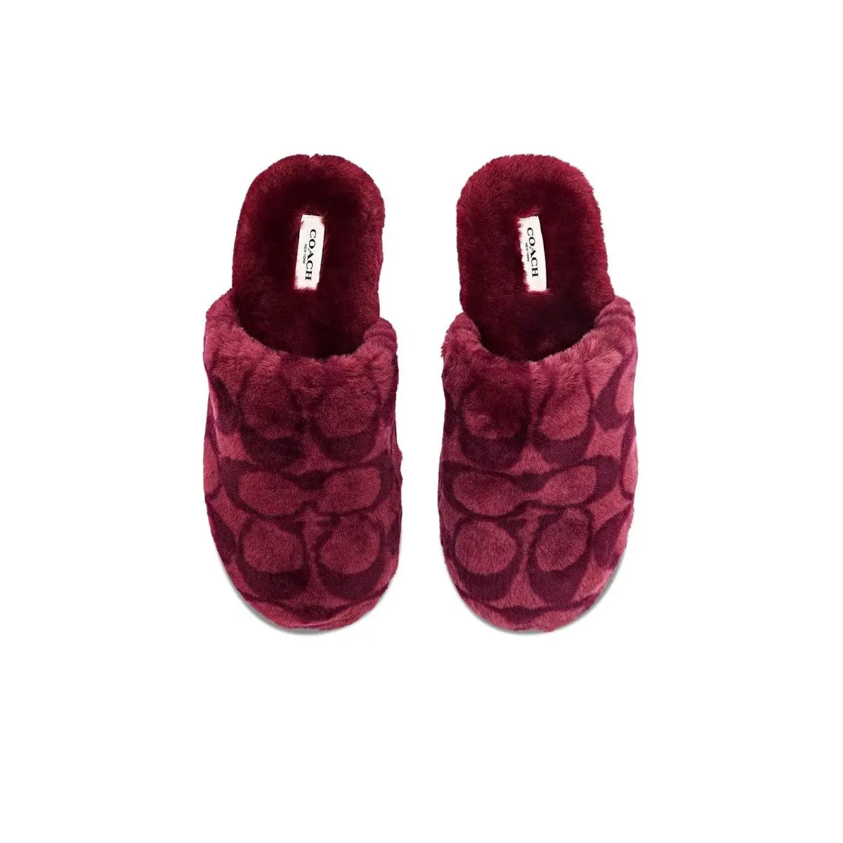 Coach shoes - Chocolate 14
