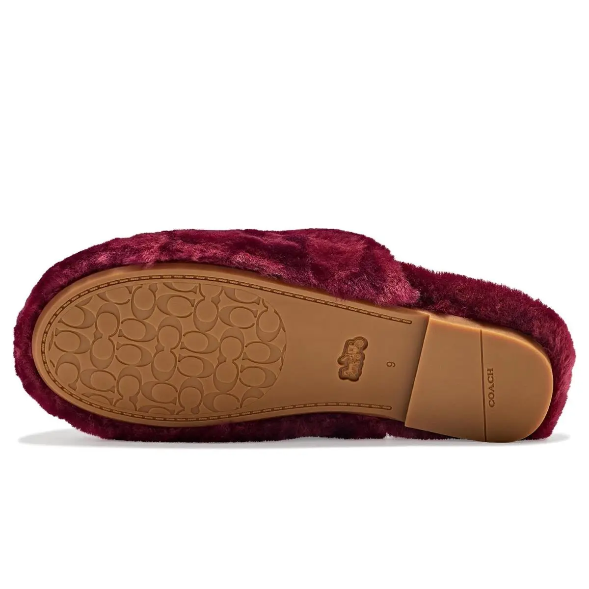 Coach shoes - Chocolate 17