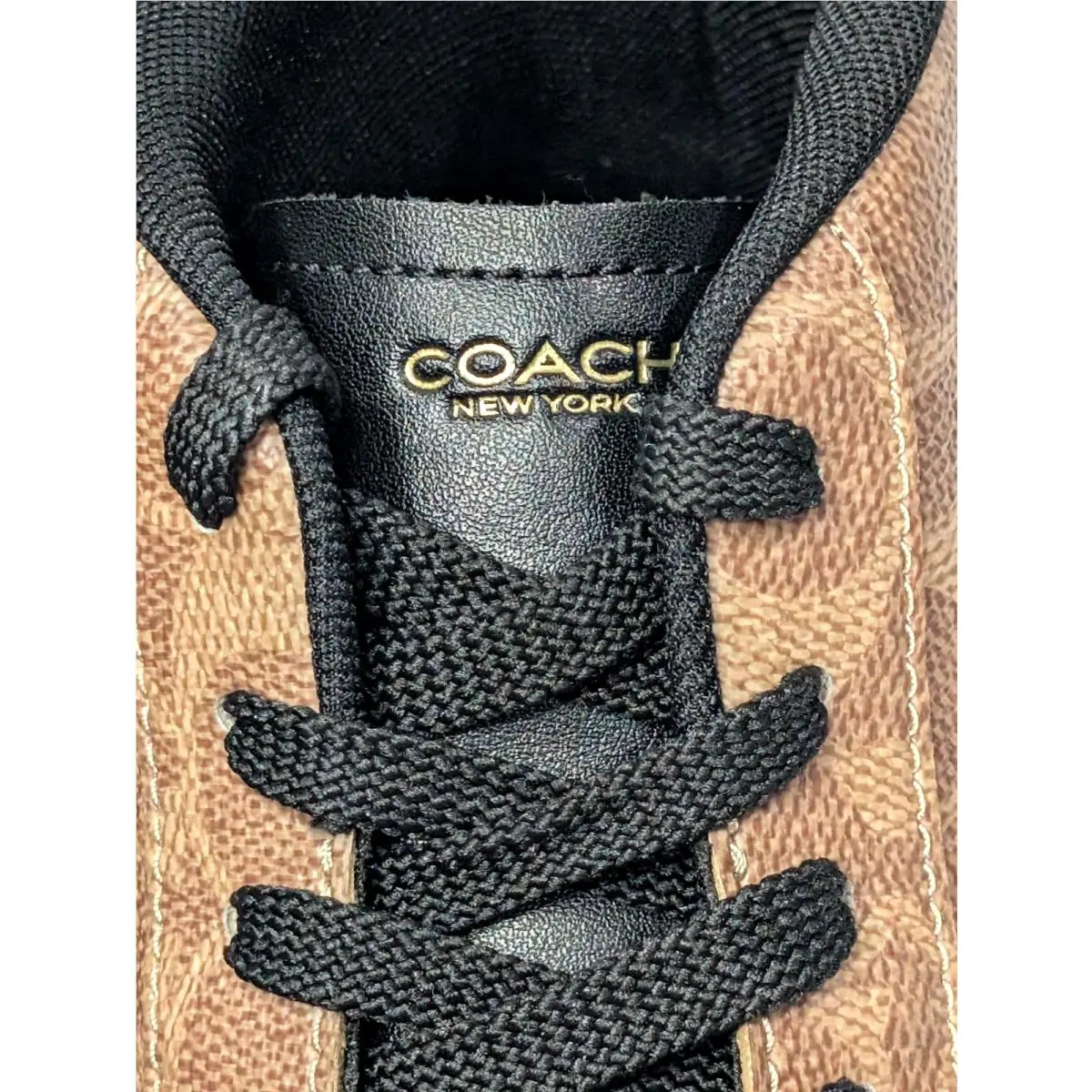Coach shoes - Coach High Line Signature High Top - CCN59 - Khaki/Black 15