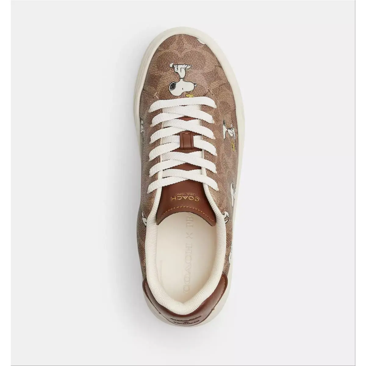 Coach shoes - Peanuts - Peanuts - CBZ77 - coated canvas/Tan 7