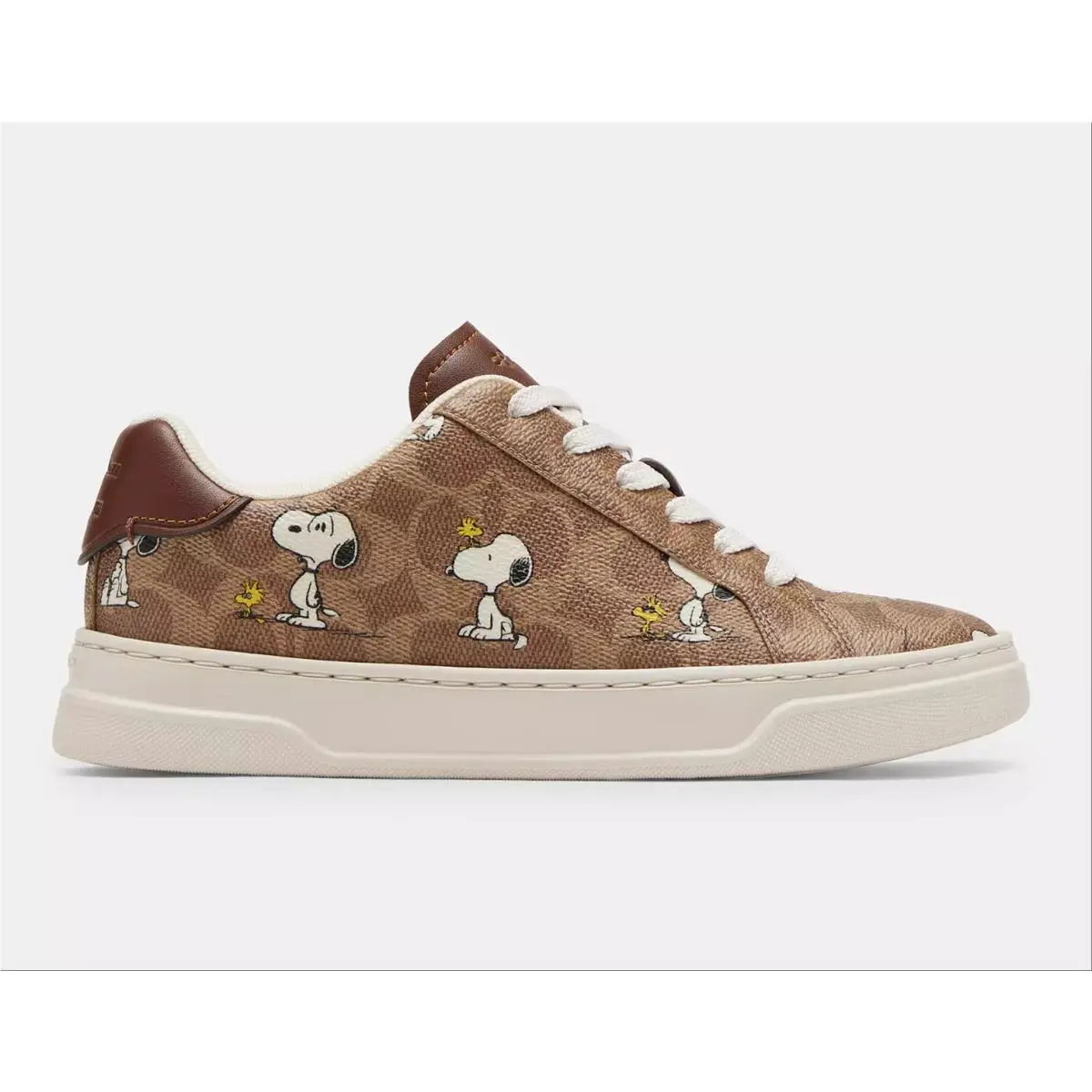 Coach shoes - Peanuts - Peanuts - CBZ77 - coated canvas/Tan 16