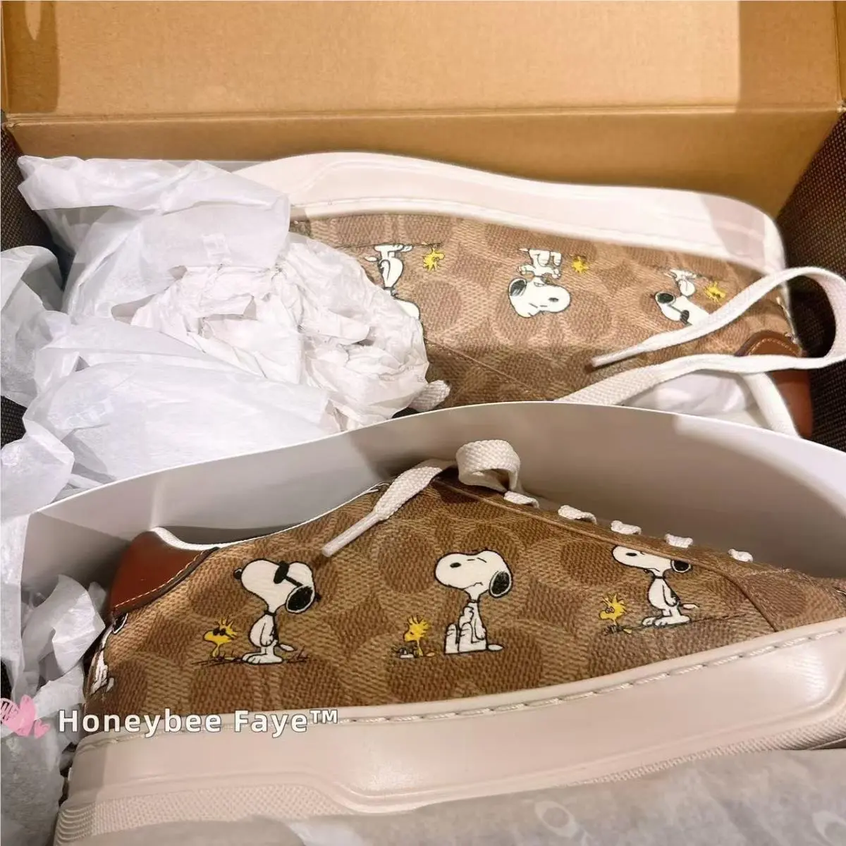 Coach shoes - Peanuts - Peanuts - CBZ77 - coated canvas/Tan 3