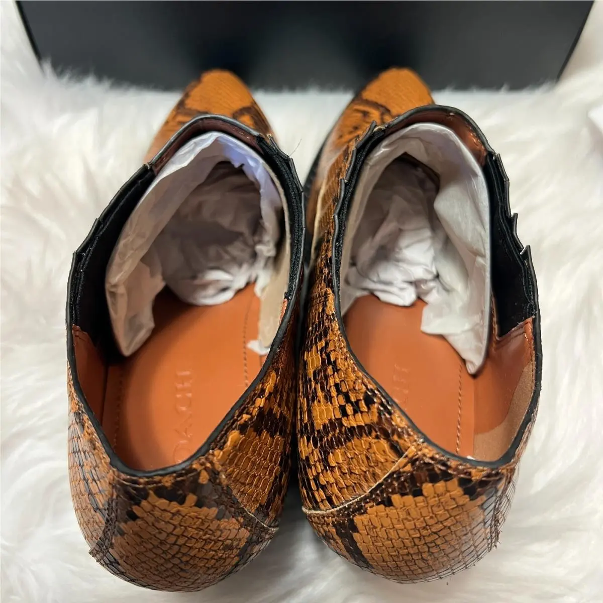 Coach shoes - Brown 5
