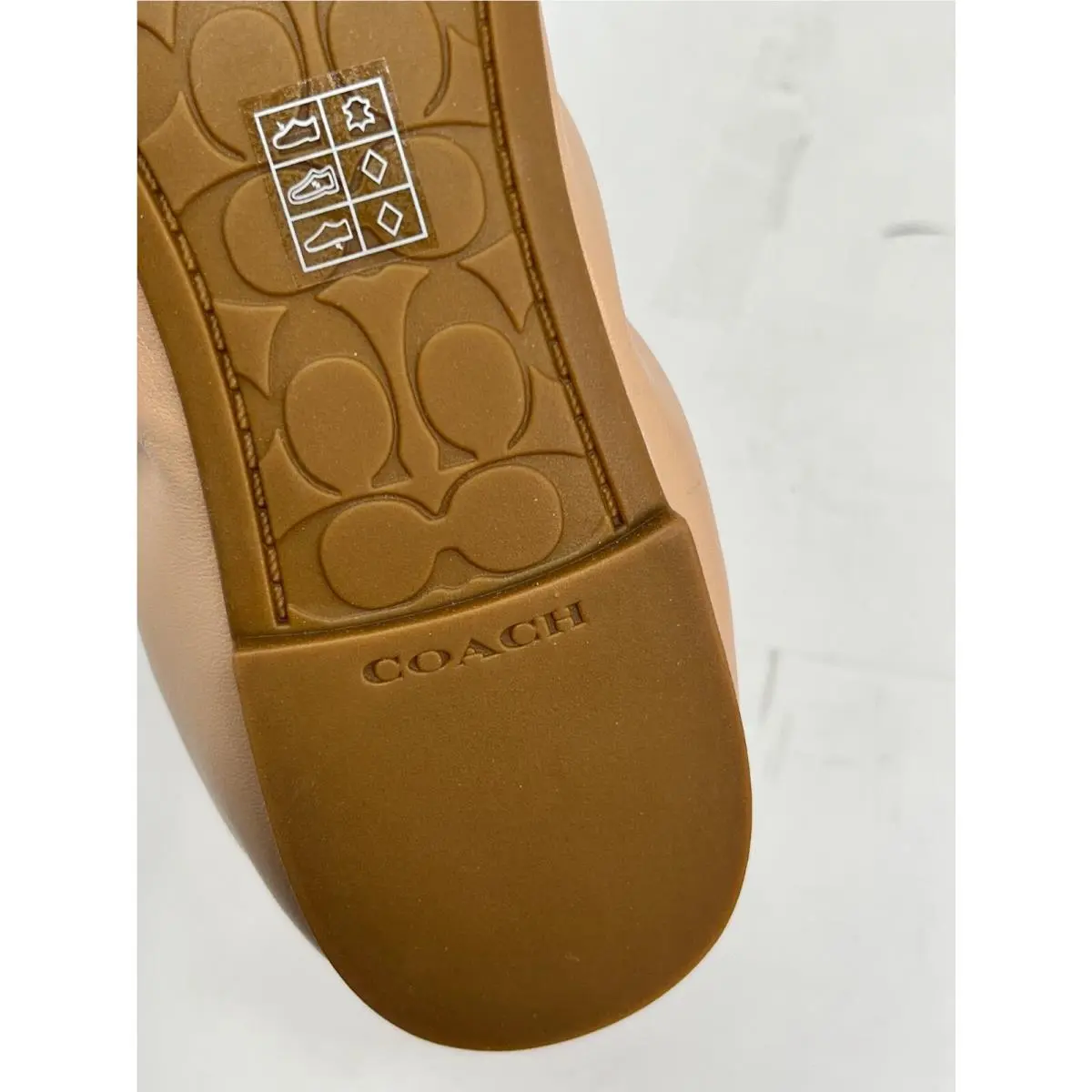 Coach shoes - Bailey Ballet Flats - Beechwood - FG2944 - Multicolor 19