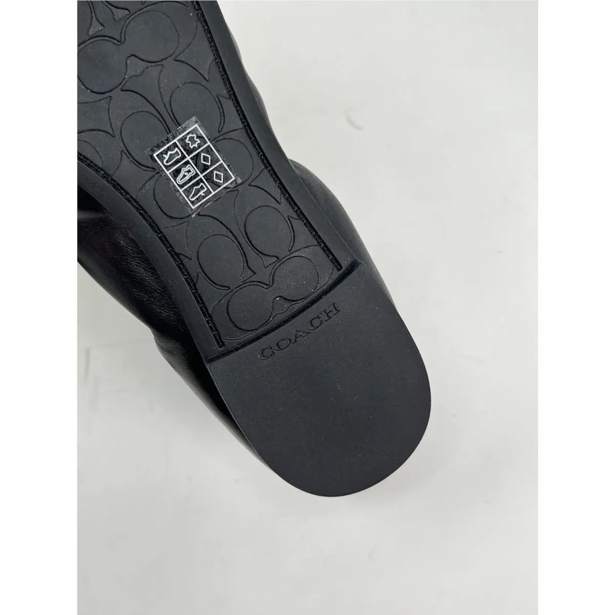 Coach shoes - Bailey Ballet Flats - Beechwood - FG2944 - Multicolor 33