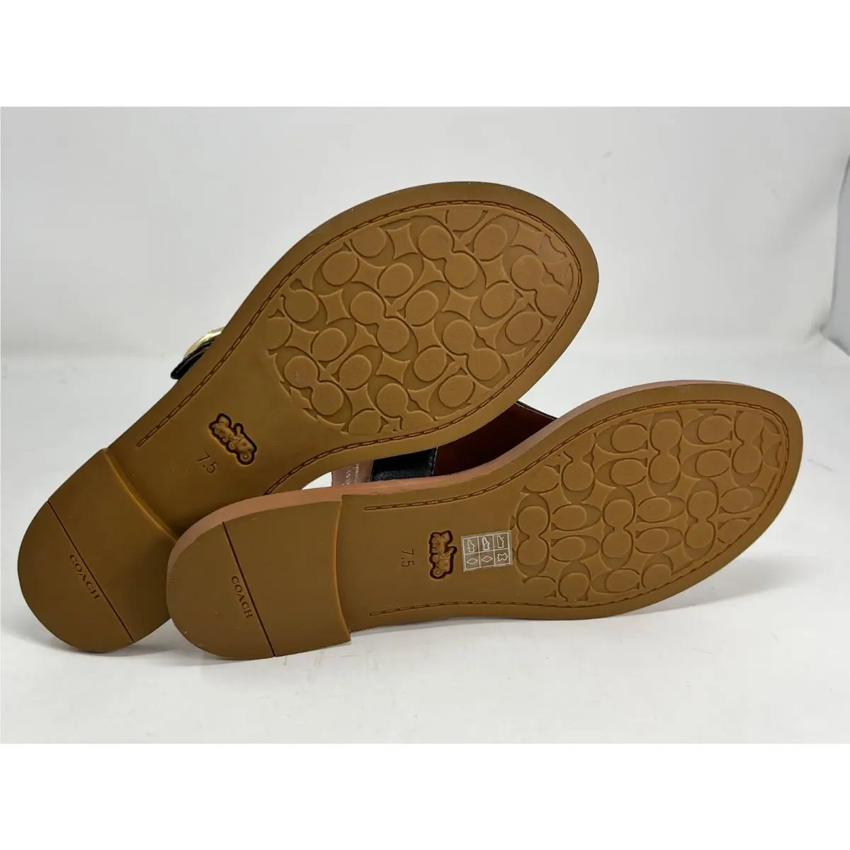 Coach shoes - Bailey Ballet Flats - Beechwood - FG2944 - Multicolor 66