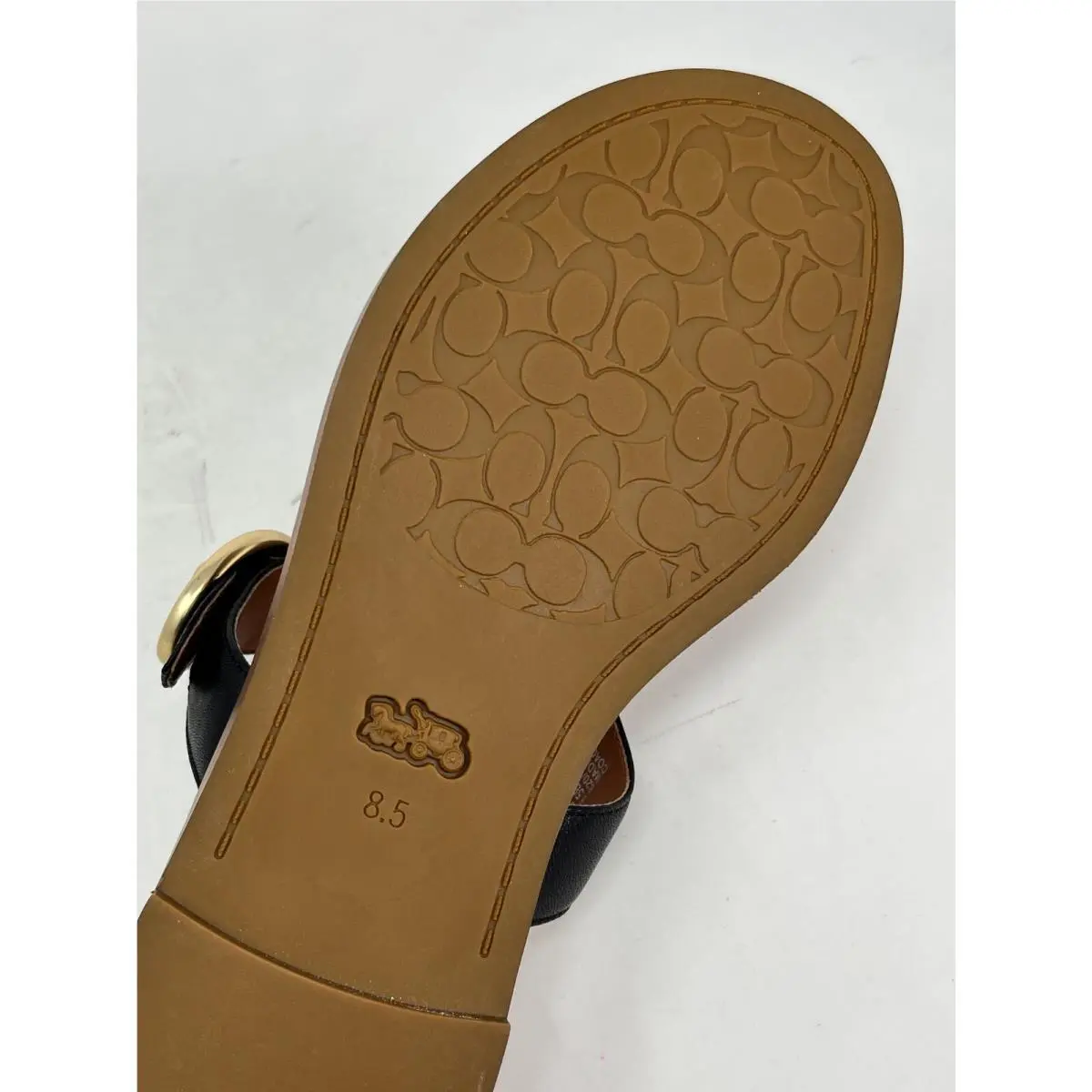 Coach shoes - Bailey Ballet Flats - Beechwood - FG2944 - Multicolor 68