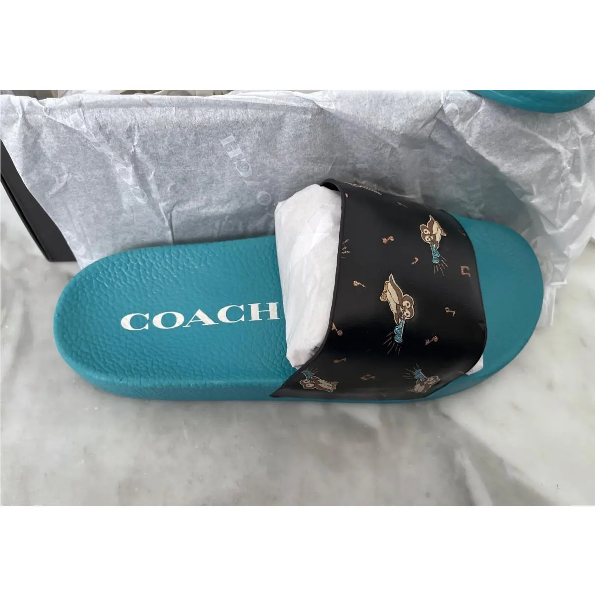 Coach shoes - Black/Blue 4