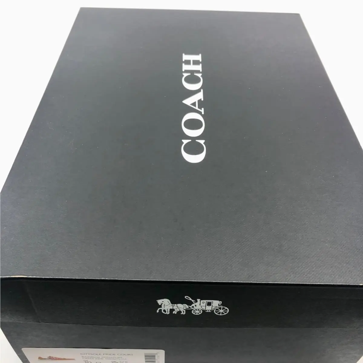 Coach shoes - COACH CITYSOLE - CITYSOLE - CA264 - Multicolor 14