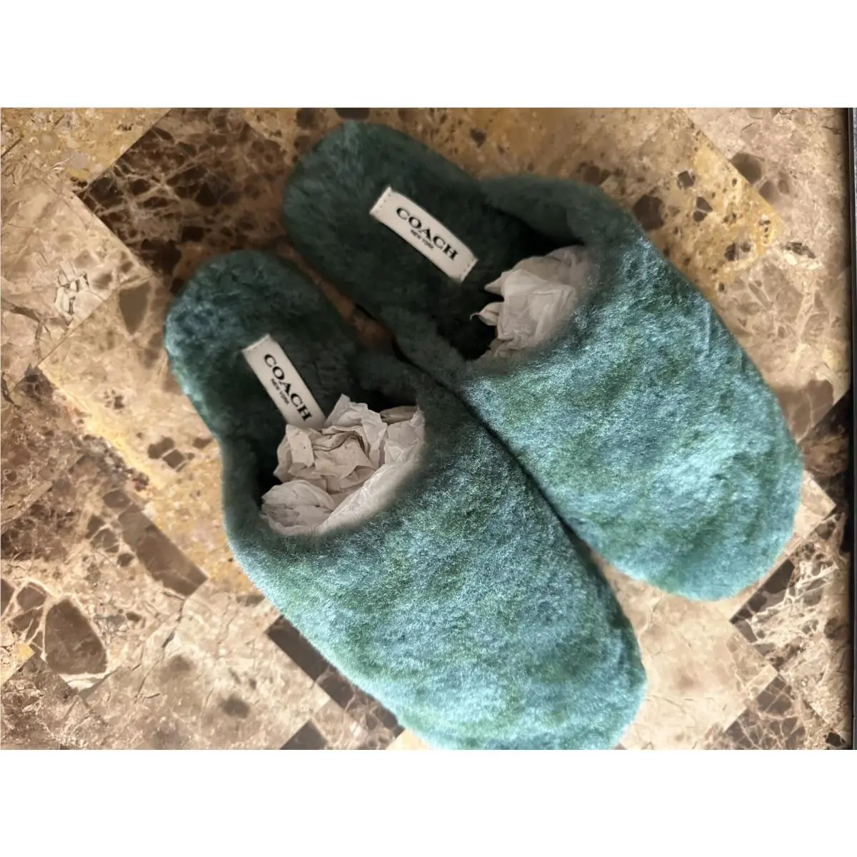 Coach shoes - Pale Pistachio 3