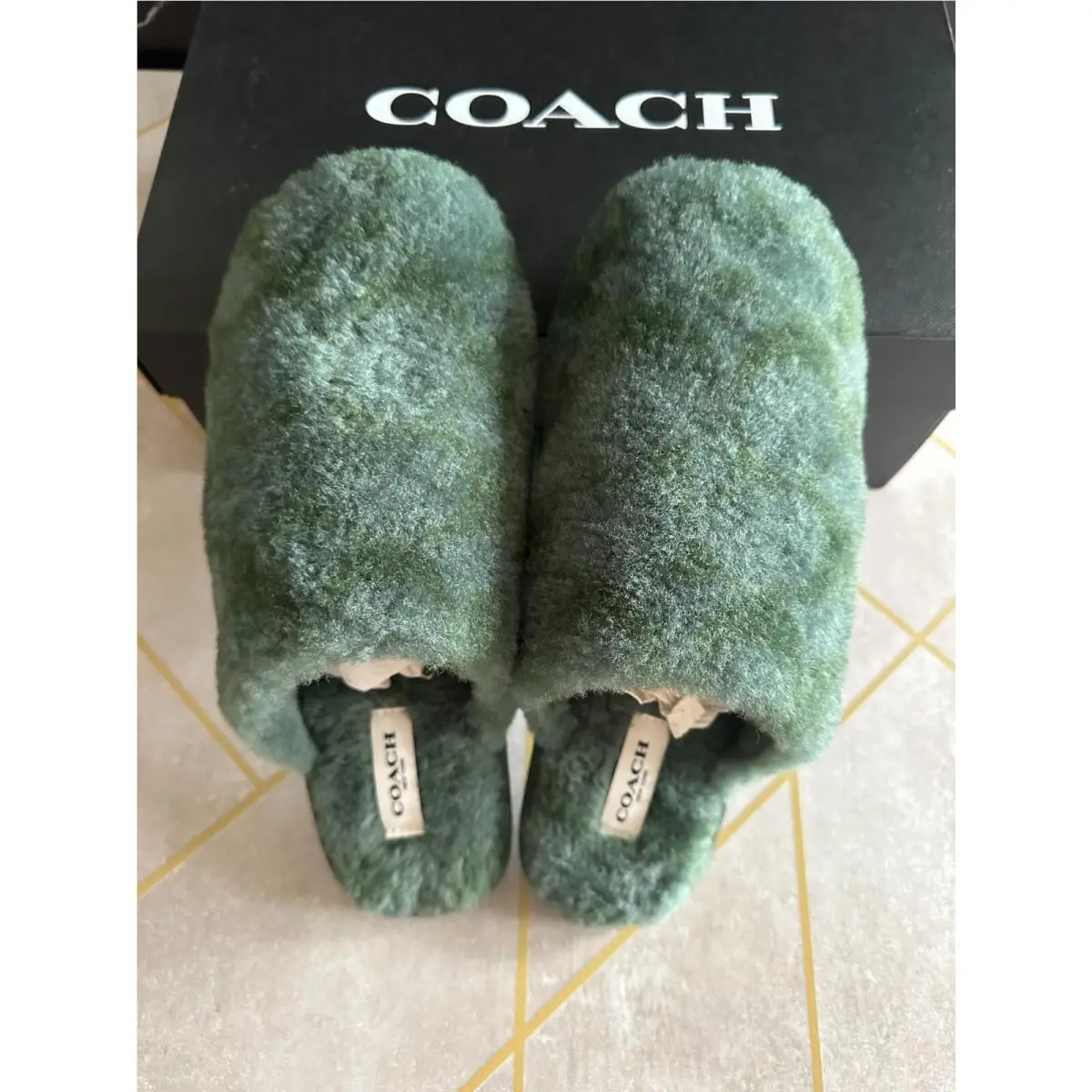 Coach shoes - Pale Pistachio 1