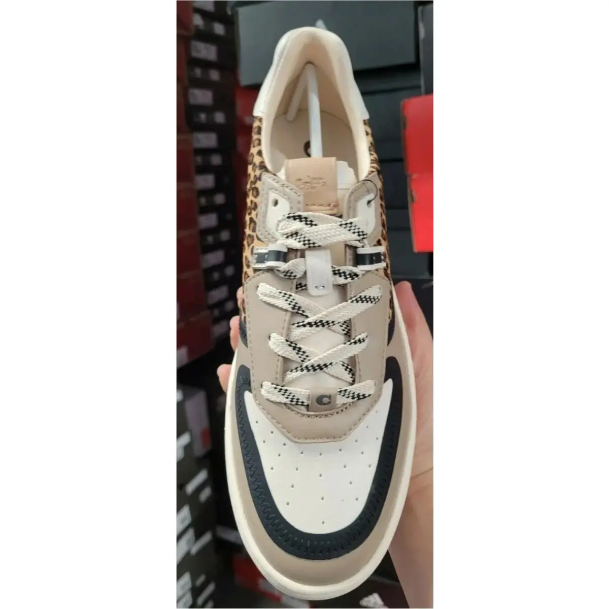 Coach shoes - 5050 - 5050 - Multicolor 3