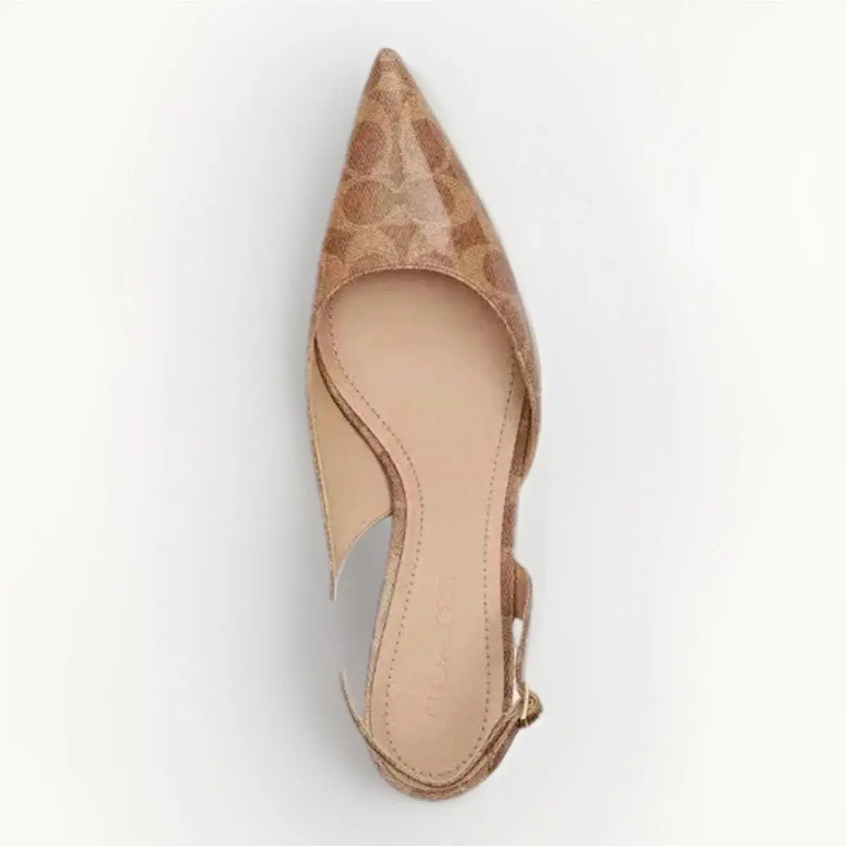 Coach shoes - Coach Roxanne - Roxanne - CAP43 - Brown 1