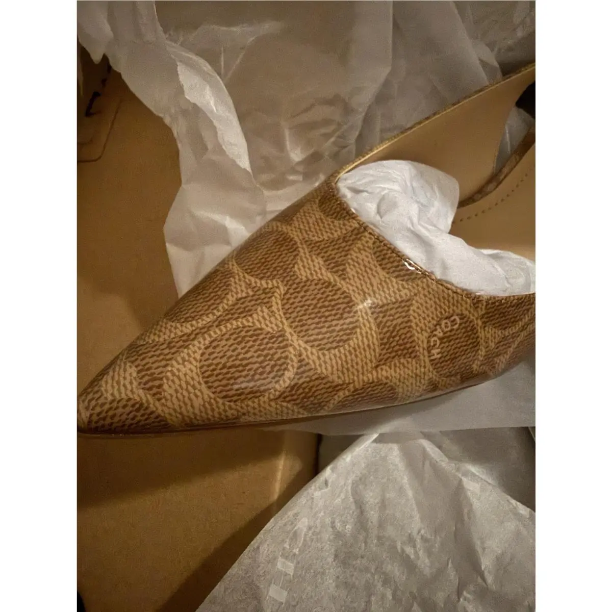 Coach shoes - Coach Roxanne - Roxanne - CAP43 - Brown 4
