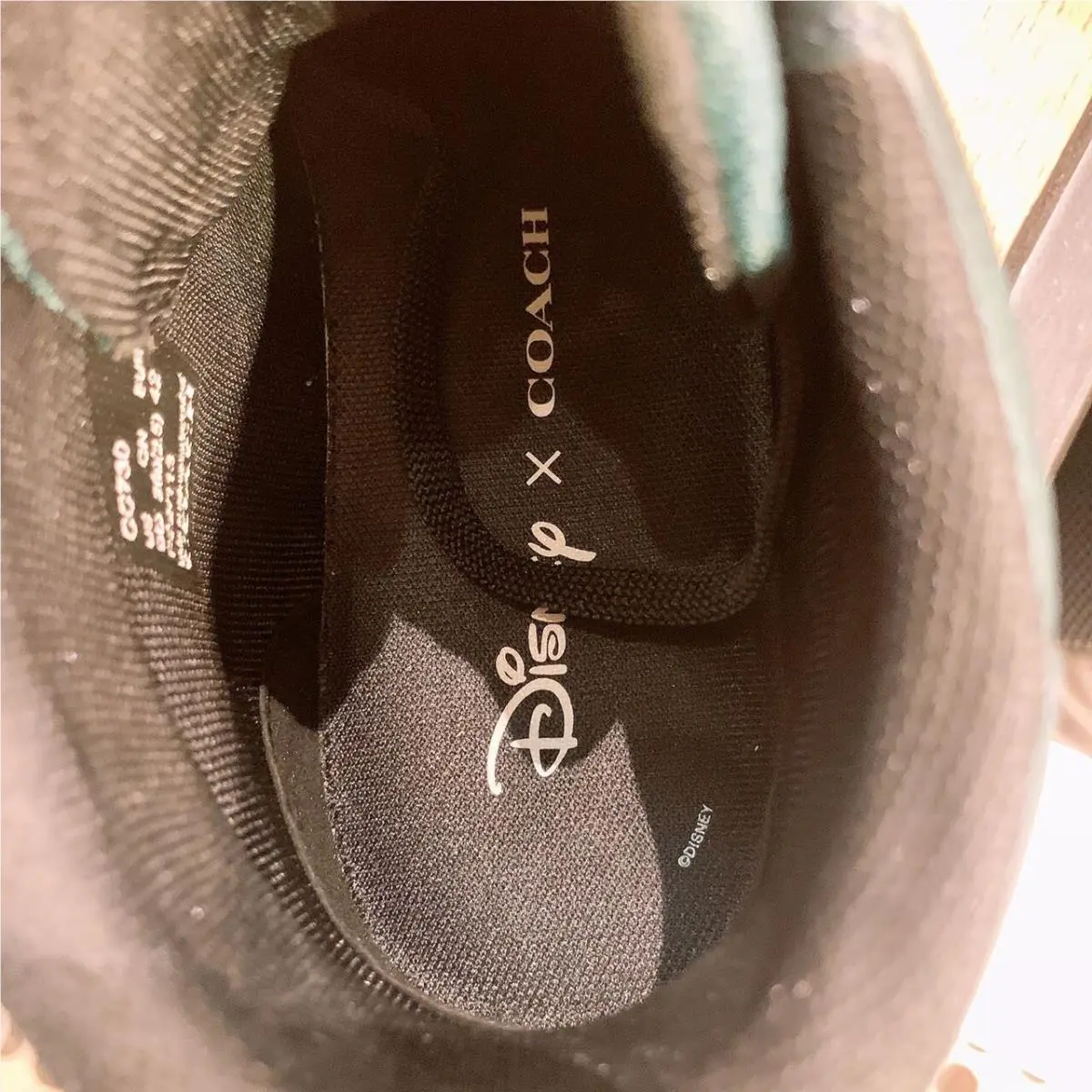 Coach shoes - Pine Green 20