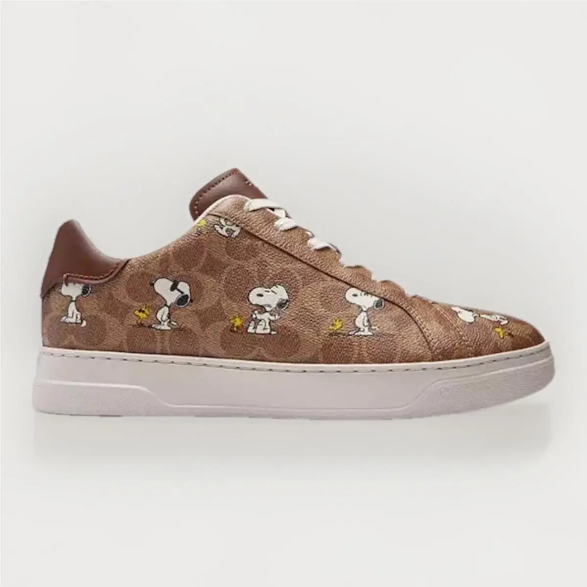 Coach shoes - Coach Peanuts Snoopy - Peanuts Snoopy - CBZ76 - Tan 0
