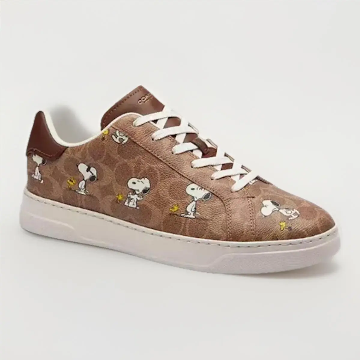 Coach shoes - Coach Peanuts Snoopy - Peanuts Snoopy - CBZ76 - Tan 9