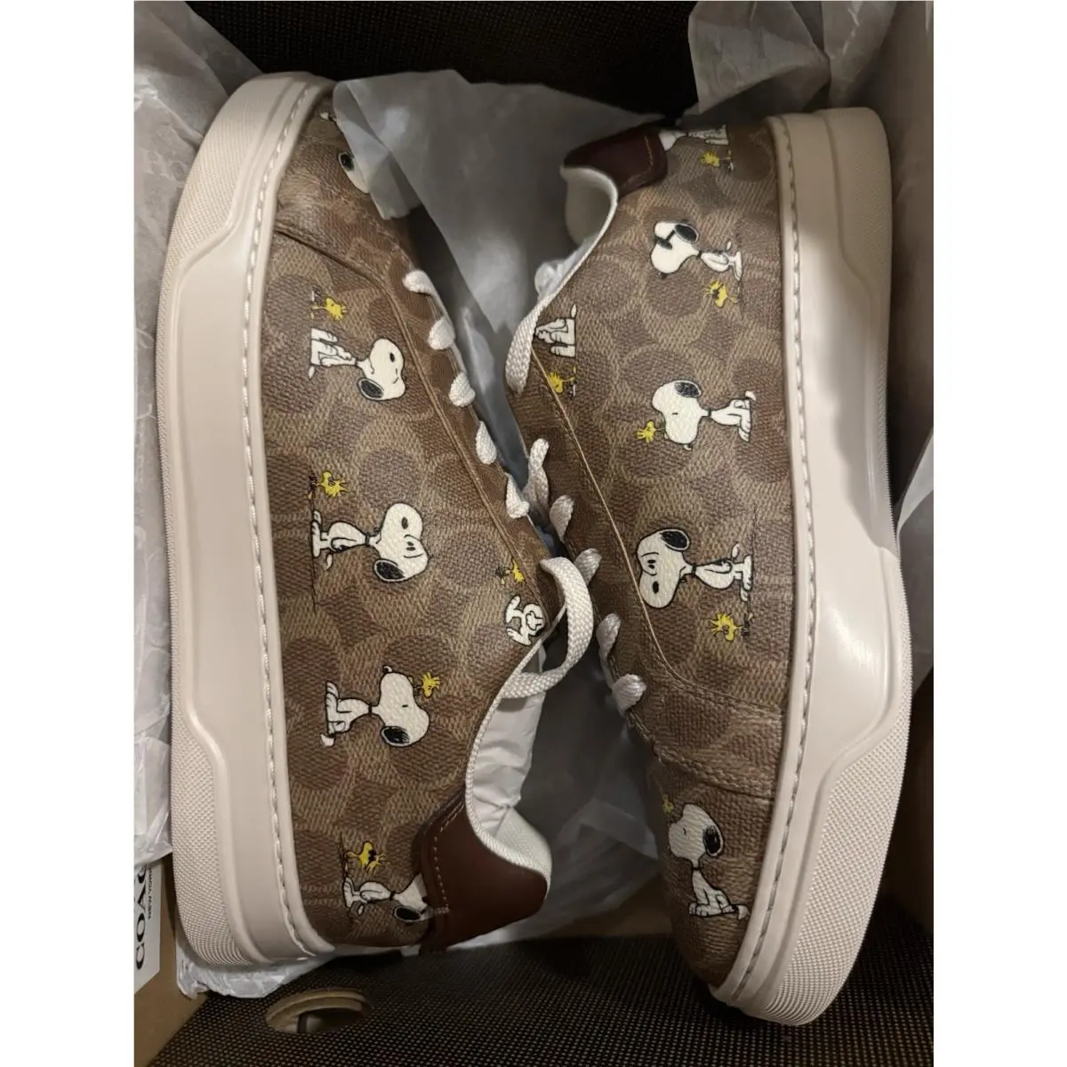 Coach shoes - Coach Peanuts Snoopy - Peanuts Snoopy - CBZ76 - Tan 4