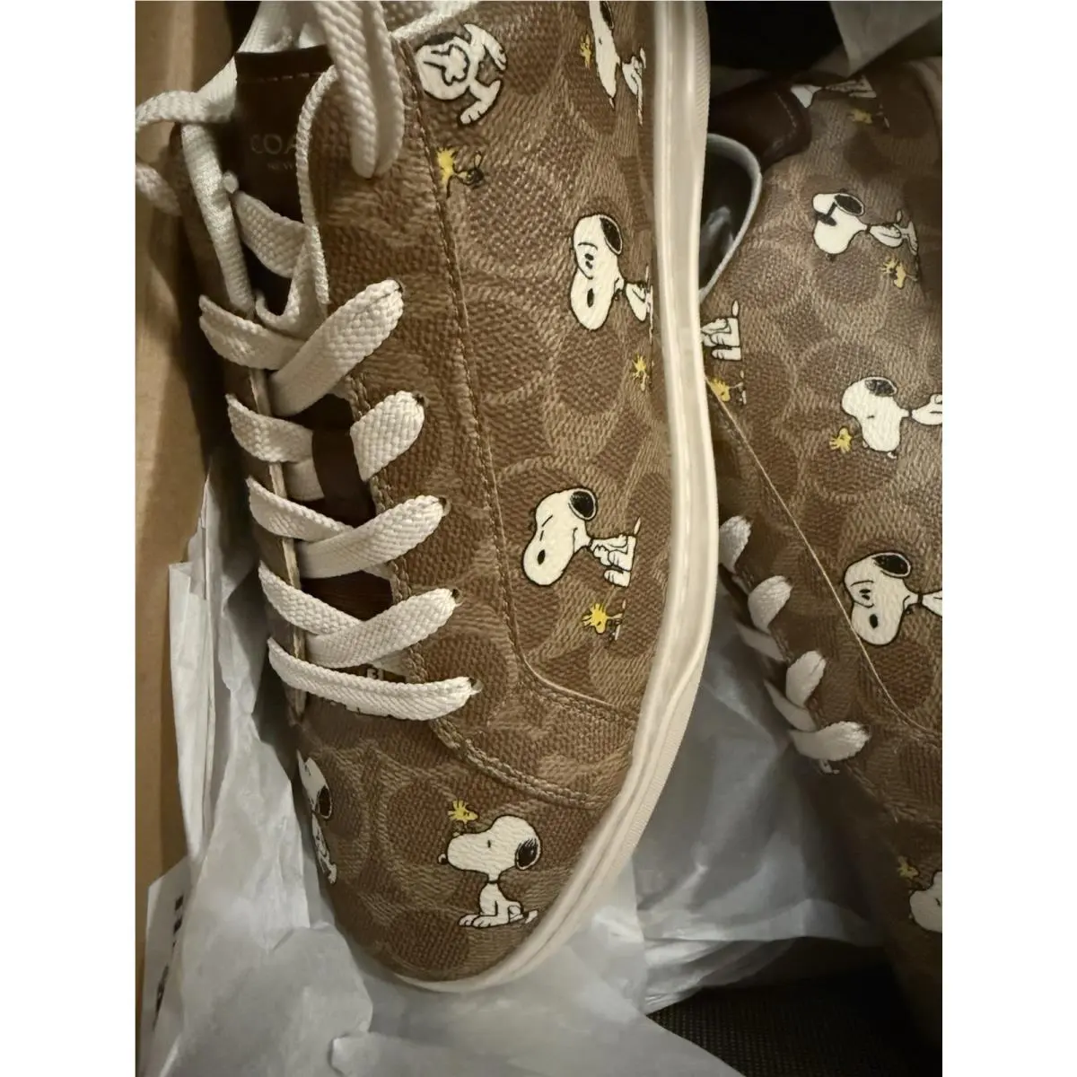 Coach shoes - Coach Peanuts Snoopy - Peanuts Snoopy - CBZ76 - Tan 6