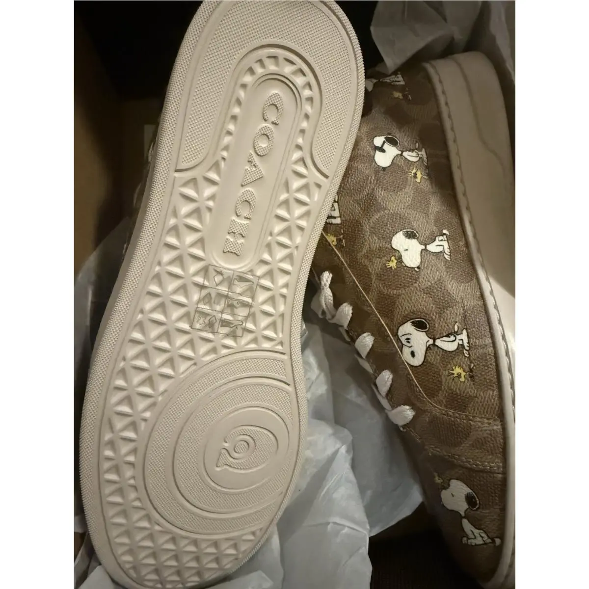 Coach shoes - Coach Peanuts Snoopy - Peanuts Snoopy - CBZ76 - Tan 17