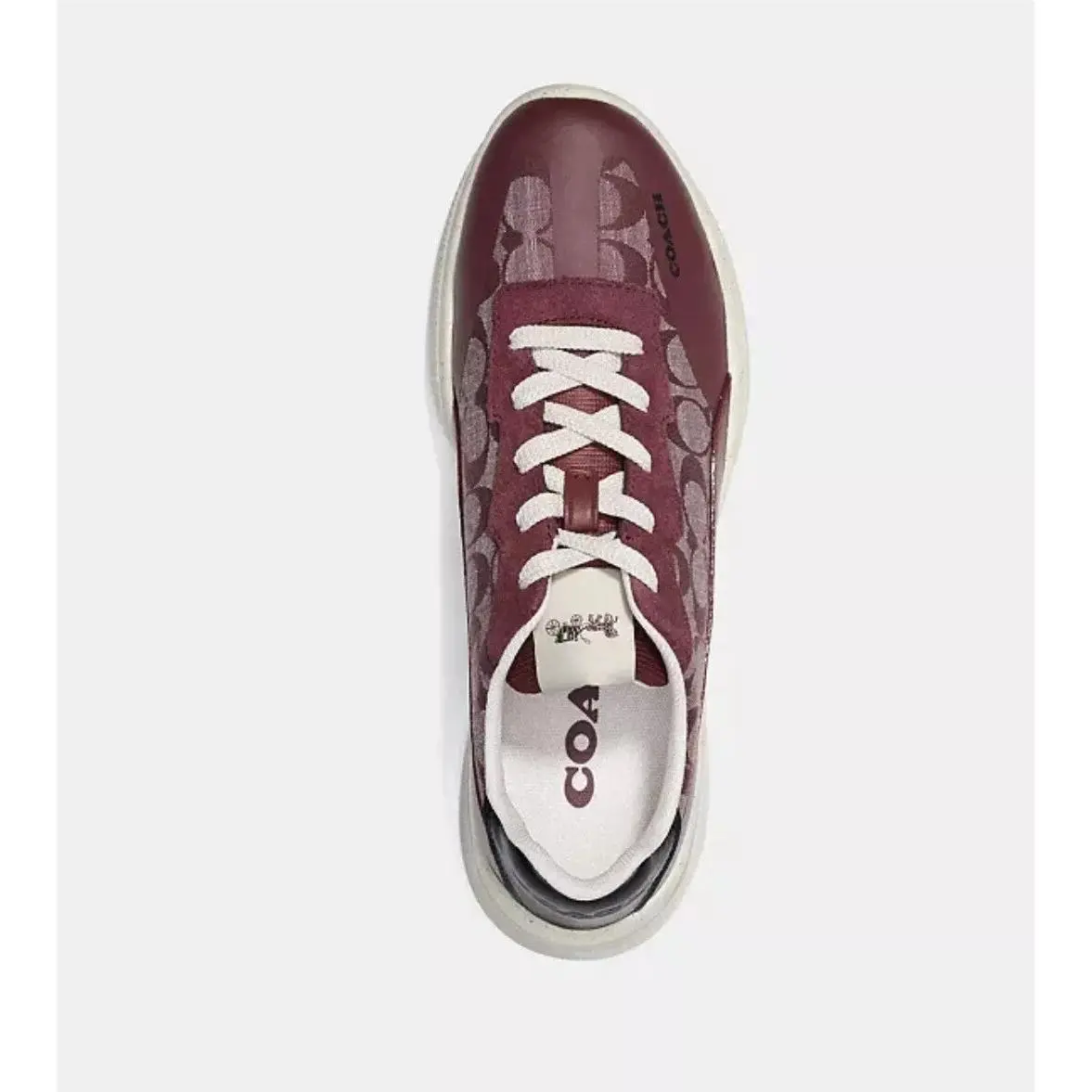 Coach shoes - CH113 - CH113 - Wine (UPC: 0195031797767) 1