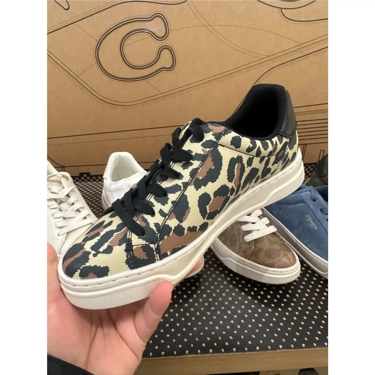 Coach shoes - Chalk Sport Red - Chalk Sport Red - Cz361 - BLACK LEOPARD 7